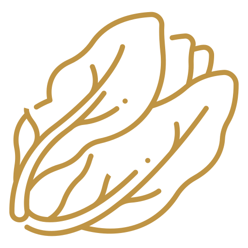 Fresh & Quality Food